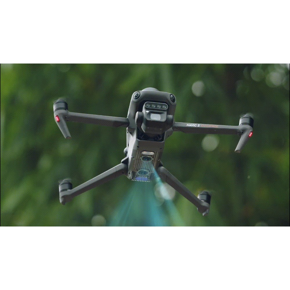 GIF 4
