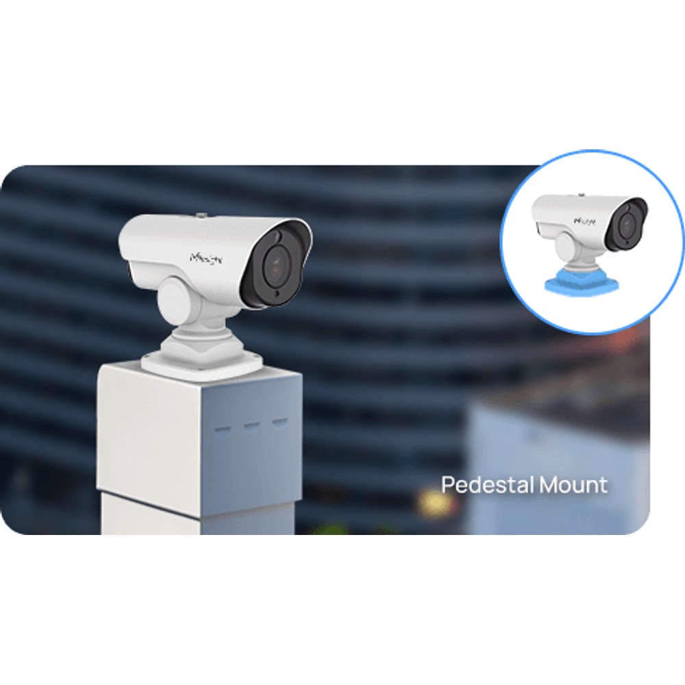 Pedestal Mount
