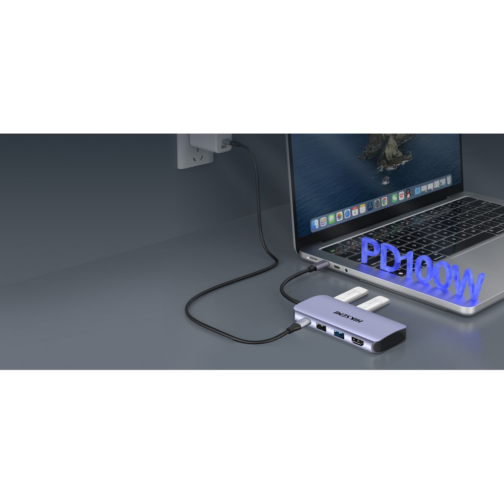 PD100W
