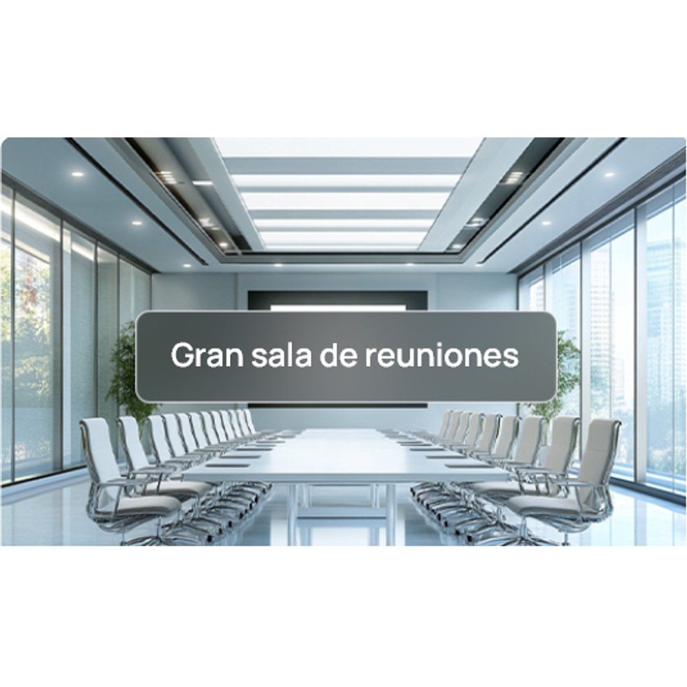 Sala de reuniones grande