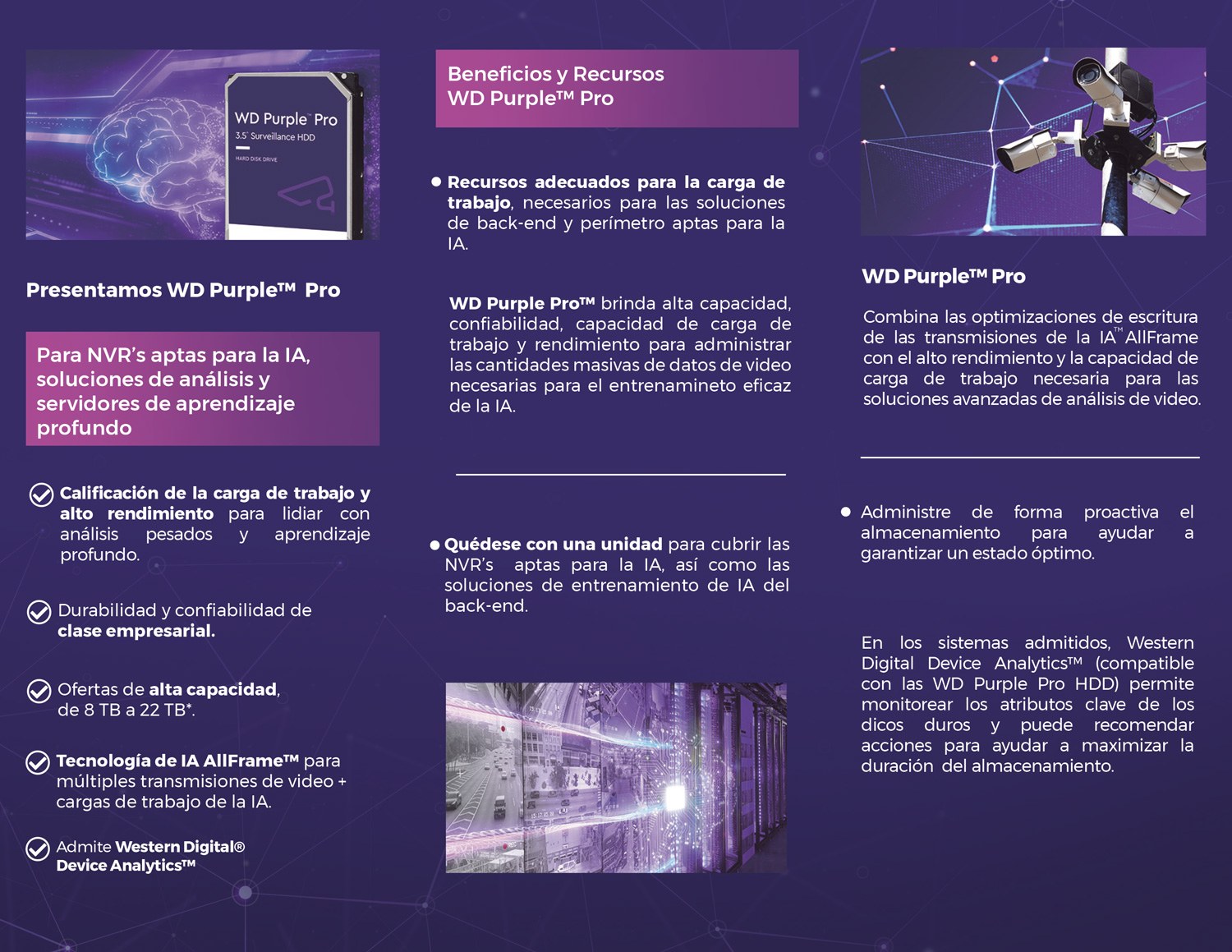 Folleto WD Purple Pro HDD 2