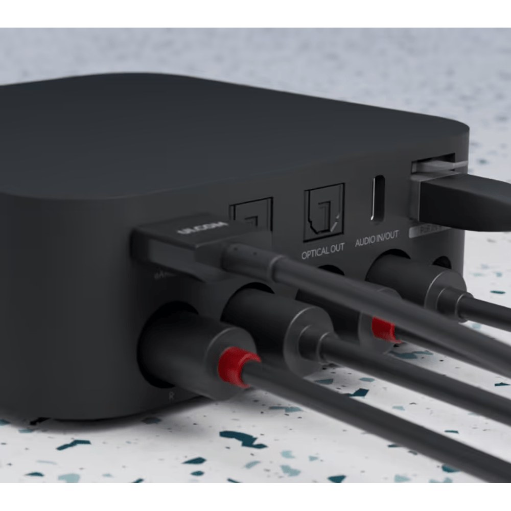 PoE Audio Port vista 2