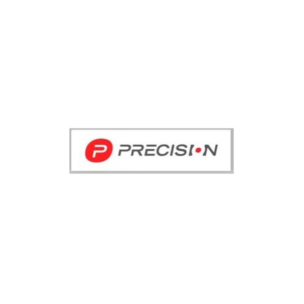 Logo PRECISION