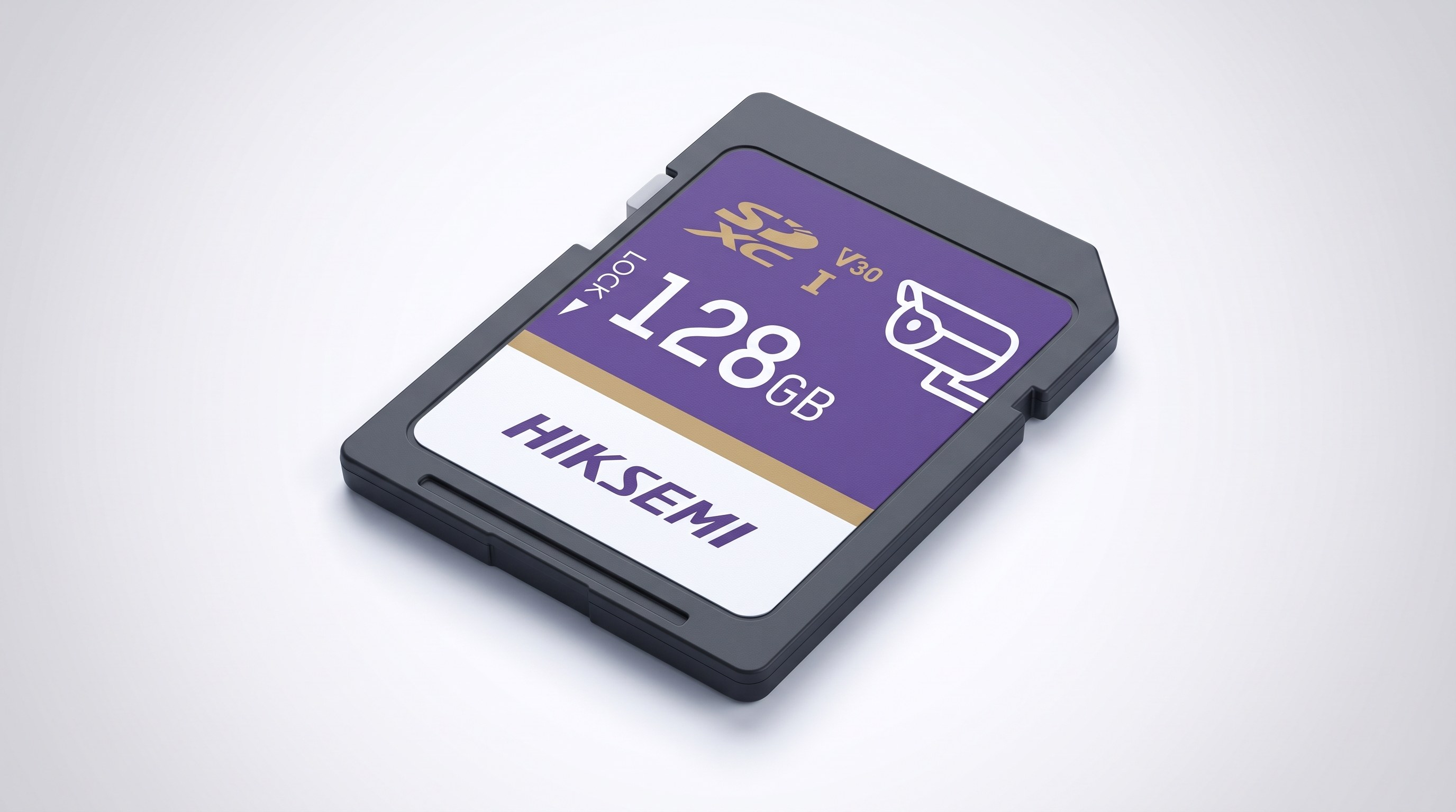 HIKSEMI GuardPro P10 SD Card
