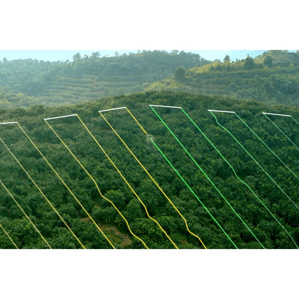 Huertos