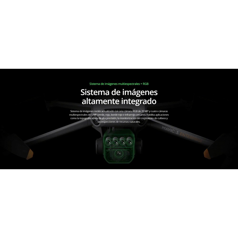 GIF1