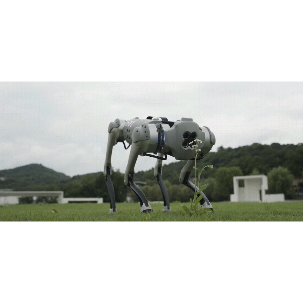 Companerorobot