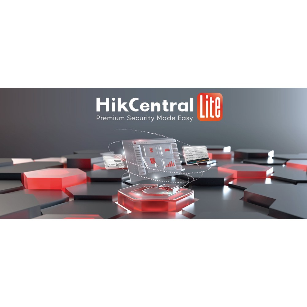 HikCentral Lite interfaz