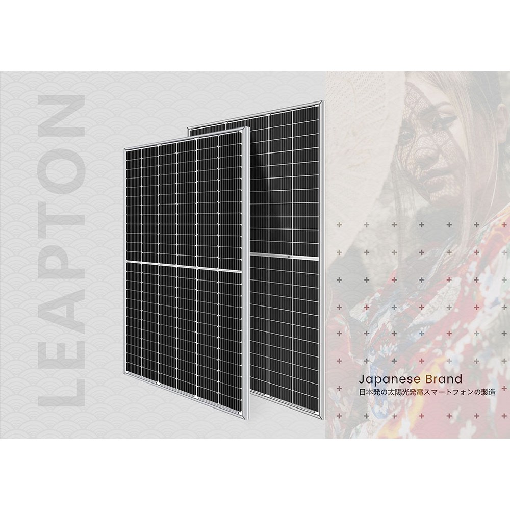 Módulo Solar LEAPTON